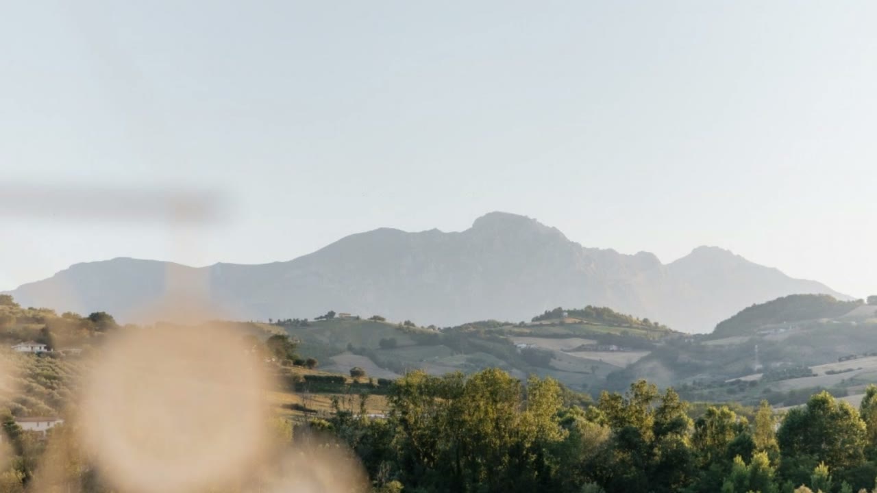 Erba alta e alberi in primo piano, con una montagna all'orizzonte